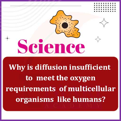 Why Is Diffusion Insufficient To Meet The Oxygen Requirements Of Multi