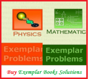 Exemplar-solutions