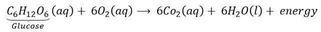 Class 10 Science - Chemistry Solutions 14