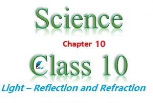 NCERT Solutions for Class 10 Science Chapter 10