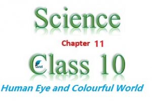 NCERT Solutions for Class 10 Science Chapter 11