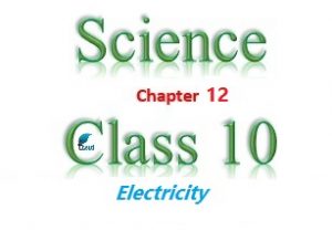 NCERT Solutions for Class 10 Science Chapter 12