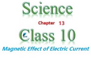 NCERT Solutions for Class 10 Science Chapter 13