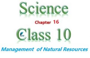 NCERT Solutions for Class 10 Science Chapter 16