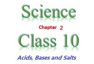 NCERT Solutions for Class 10 Science Chapter 2