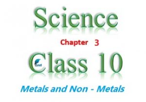 NCERT Solutions for Class 10 Science Chapter 3