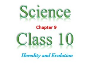 NCERT Solutions for Class 10 Science Chapter 9
