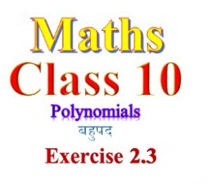NCERT Solutions for class 10 Maths Chapter 2 Exercise 2.3