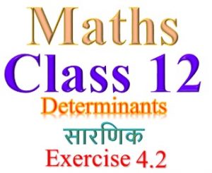 NCERT Solutions for Class 12 Maths Chapter 4 Exercise 4.2