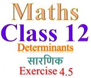 NCERT Solutions for Class 12 Maths Chapter 4 Exercise 4.5