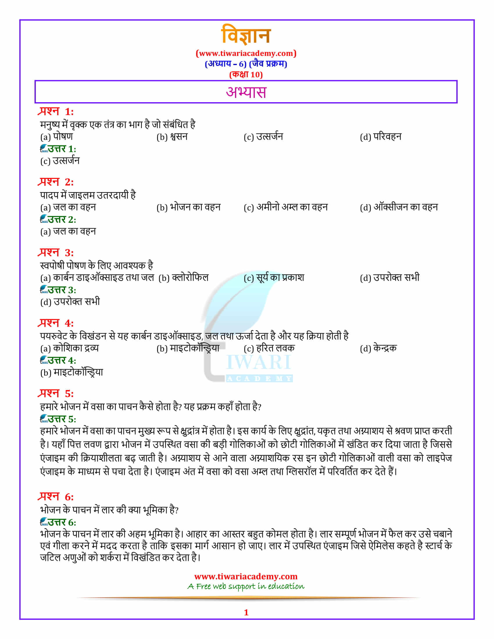 10 Science Chapter 6 Life Processes