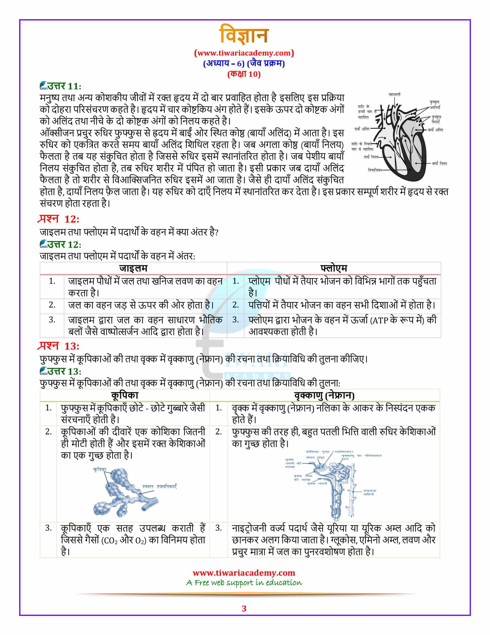 10 Science Chapter 6 Life Processes free guide in hindi