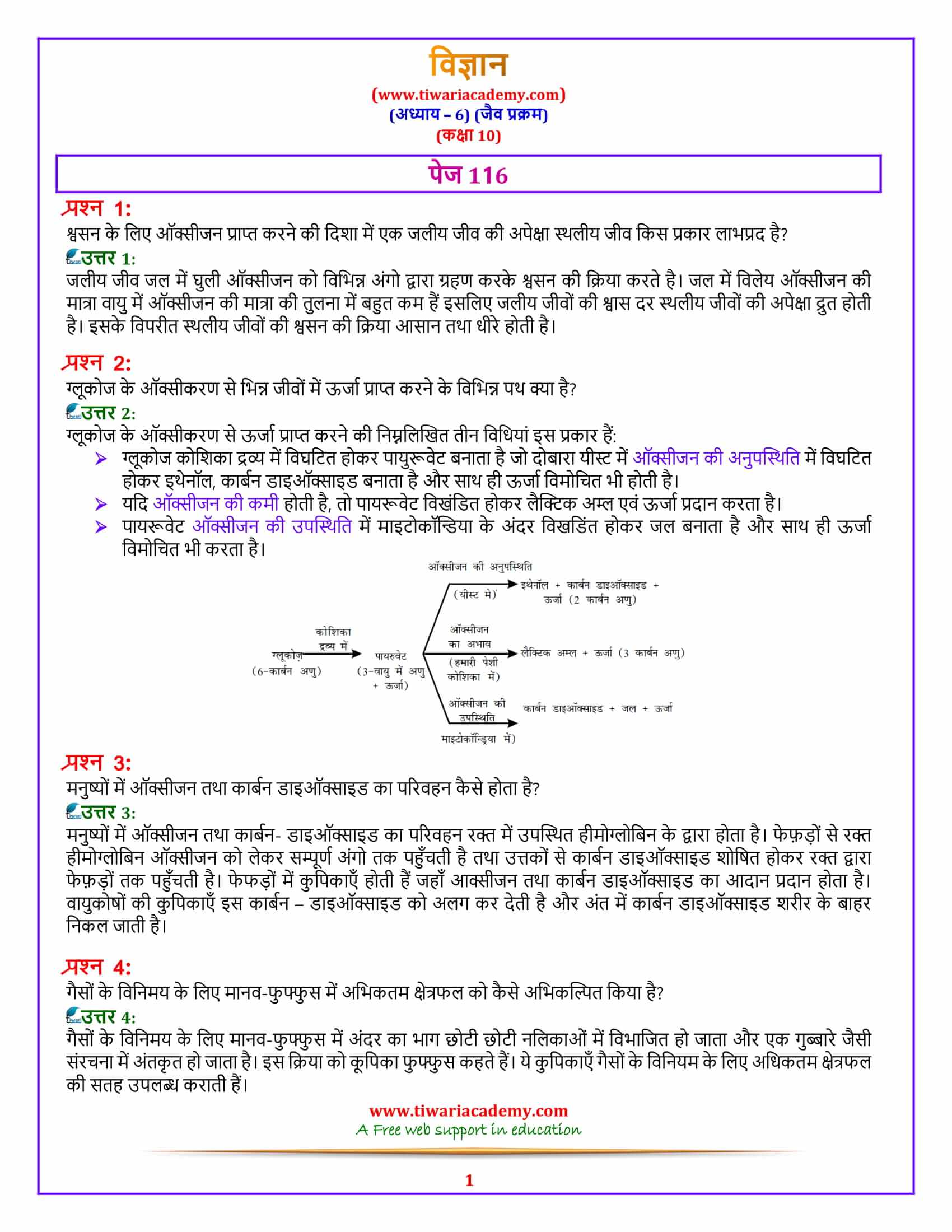 NCERT Solutions for 10 Science Chapter 6 Life Processes पेज 116 के उत्तर