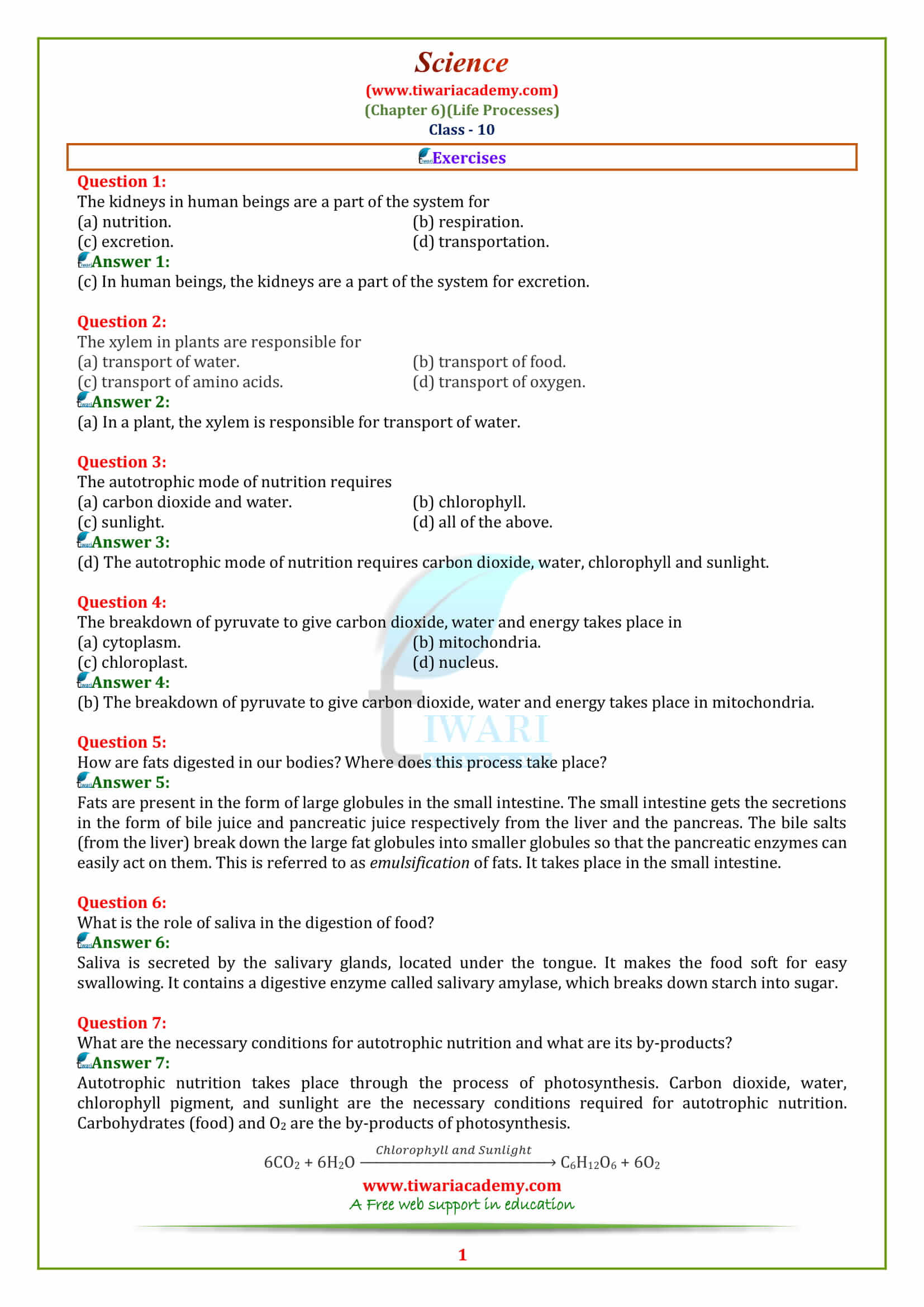 NCERT Solutions for 10 Science Chapter 6 Life Processes Exercises answers
