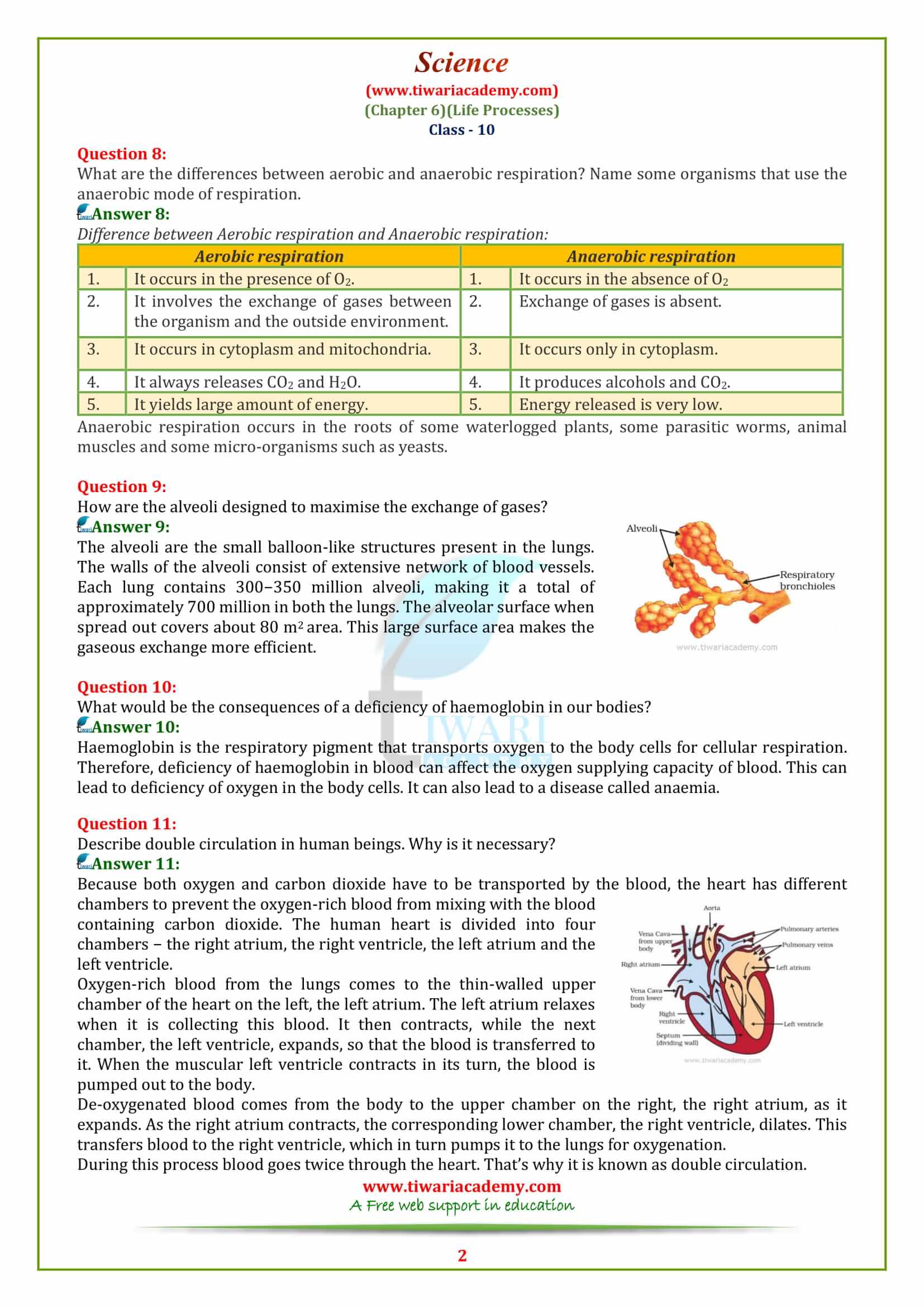 NCERT Solutions for 10 Science Chapter 6 Life Processes Exercises answers in pdf form
