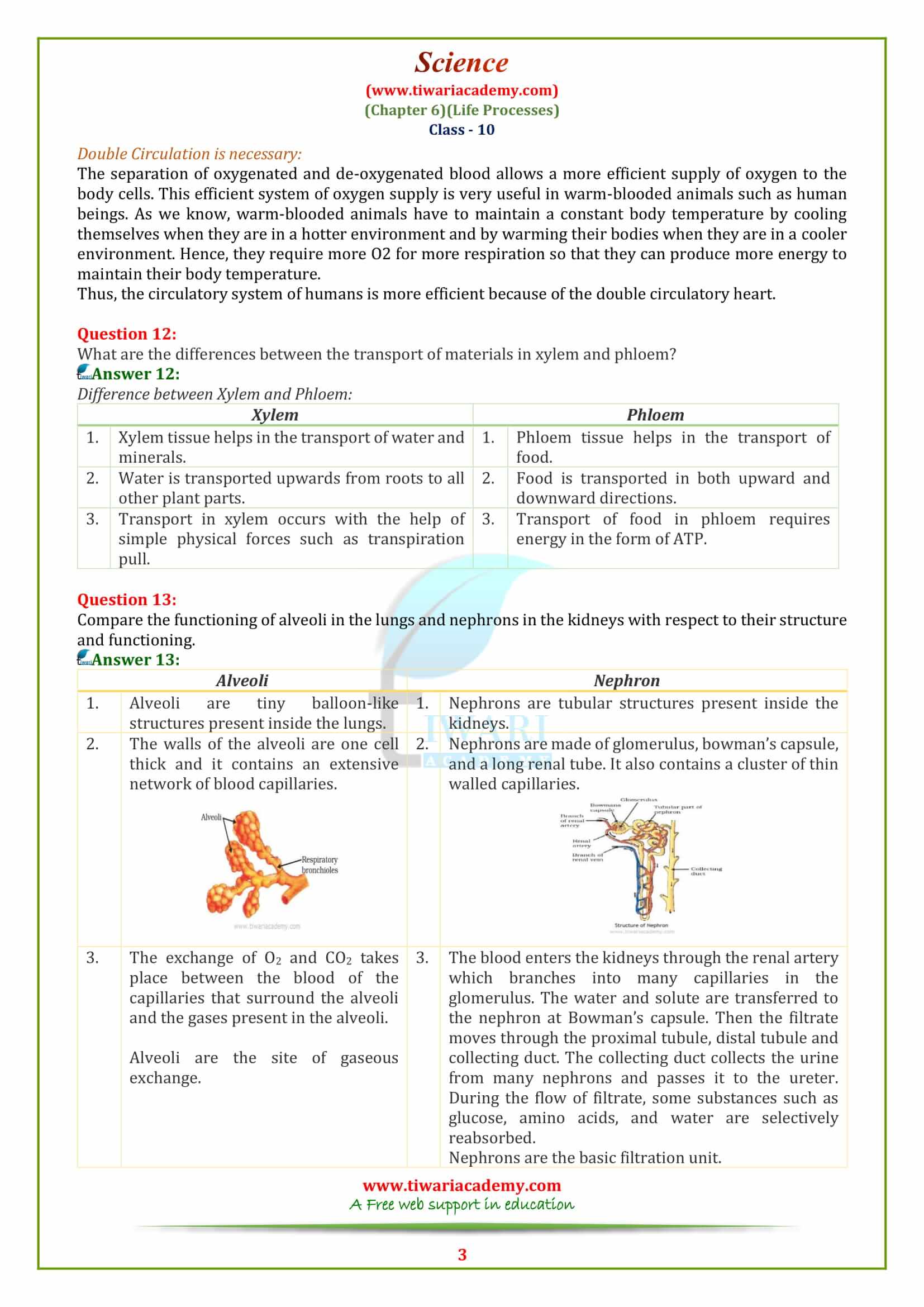 NCERT Solutions for 10 Science Chapter 6 Life Processes Exercises answers in english medium