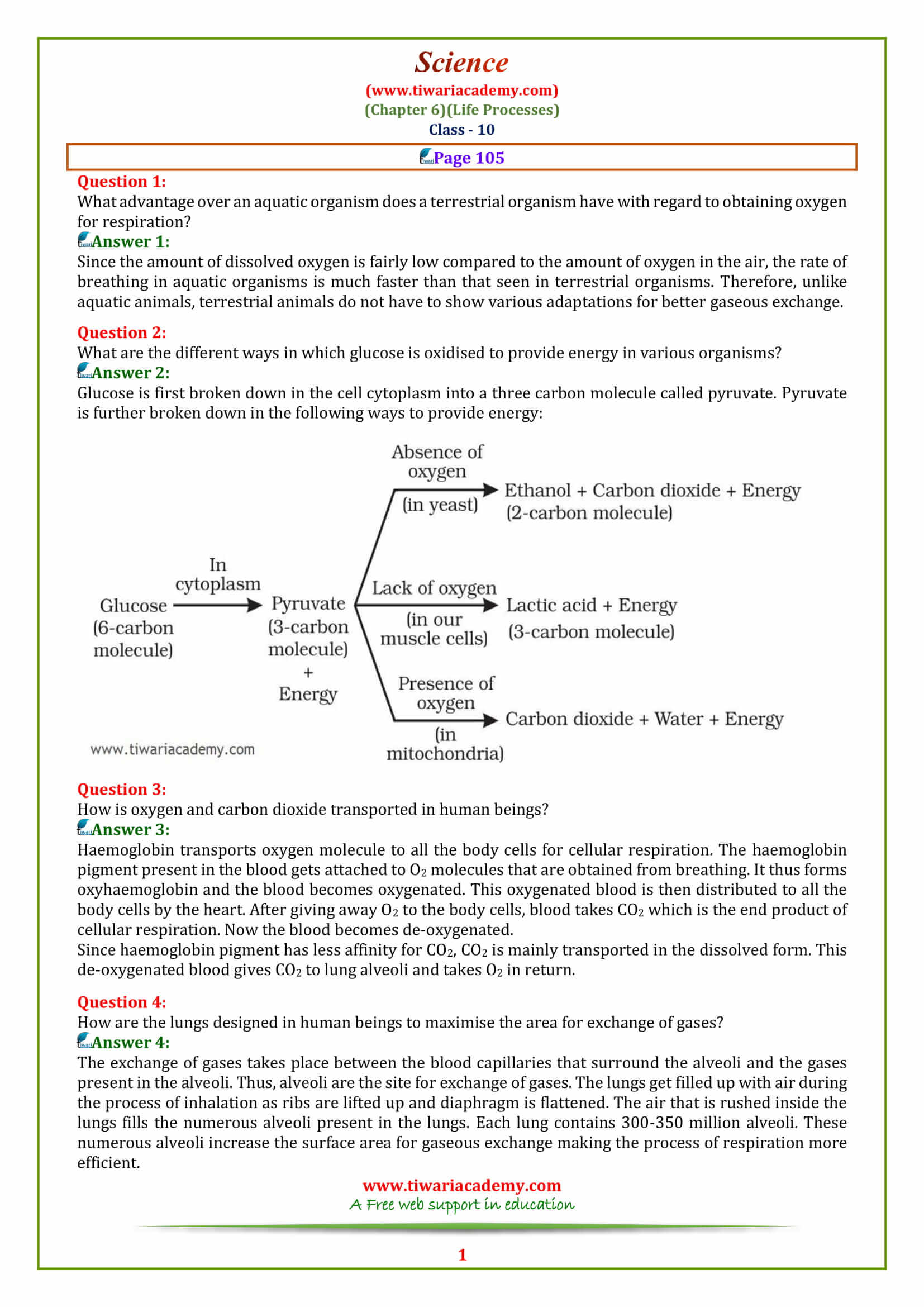 NCERT Solutions for Class 10 Chapter 6 Life Processes Page 105 answers