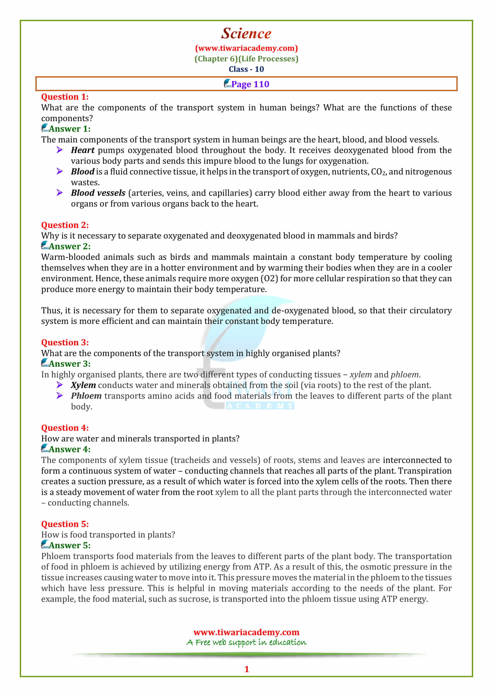 10 Science Chapter 6 Page 110 answers