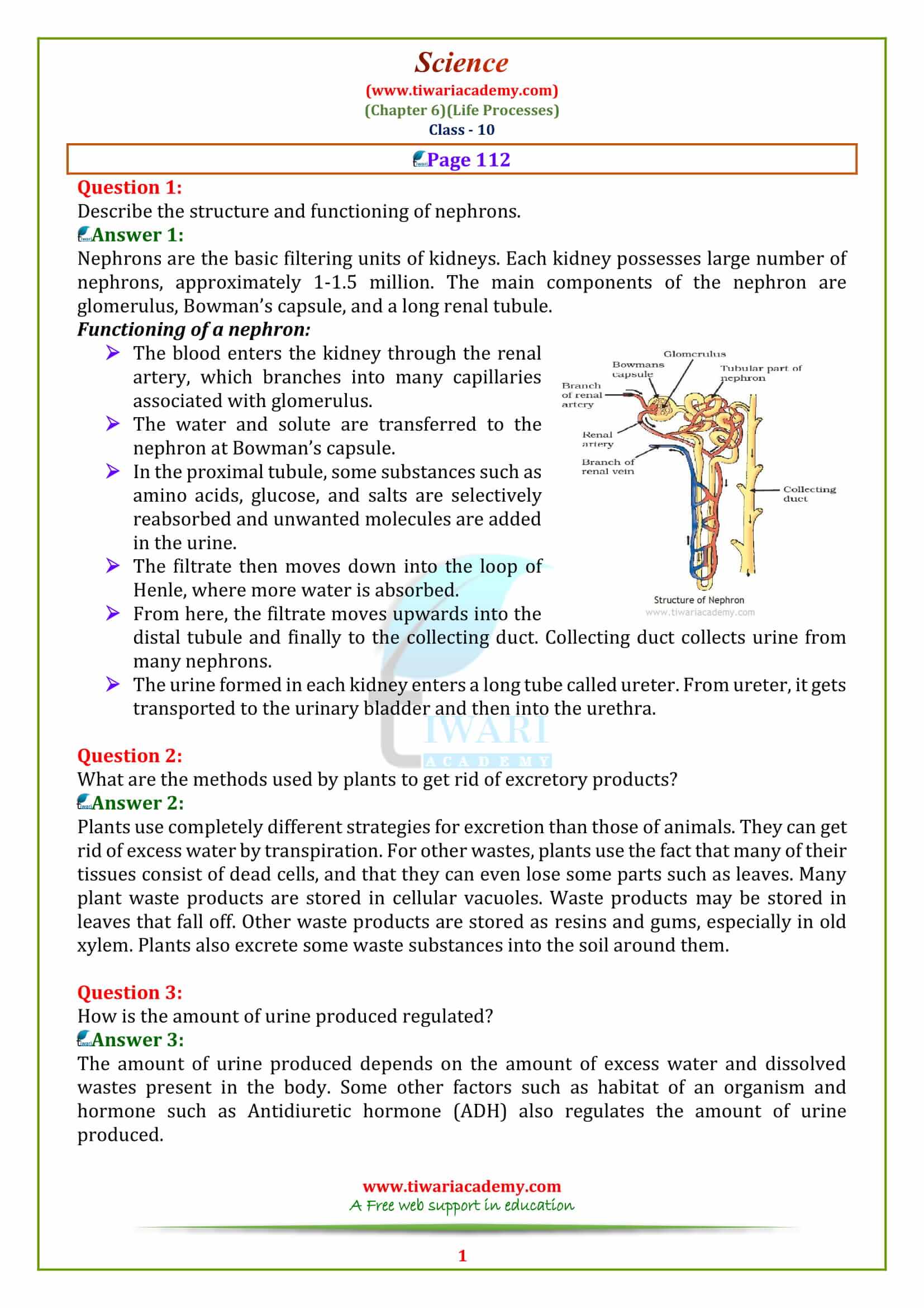 10 Science Chapter 6 Life Processes Page 112 answers