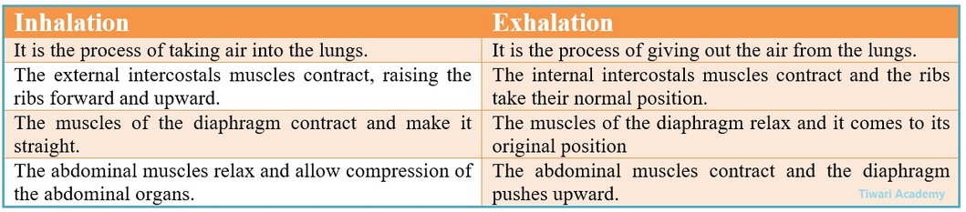 10 science solutions chapter 6