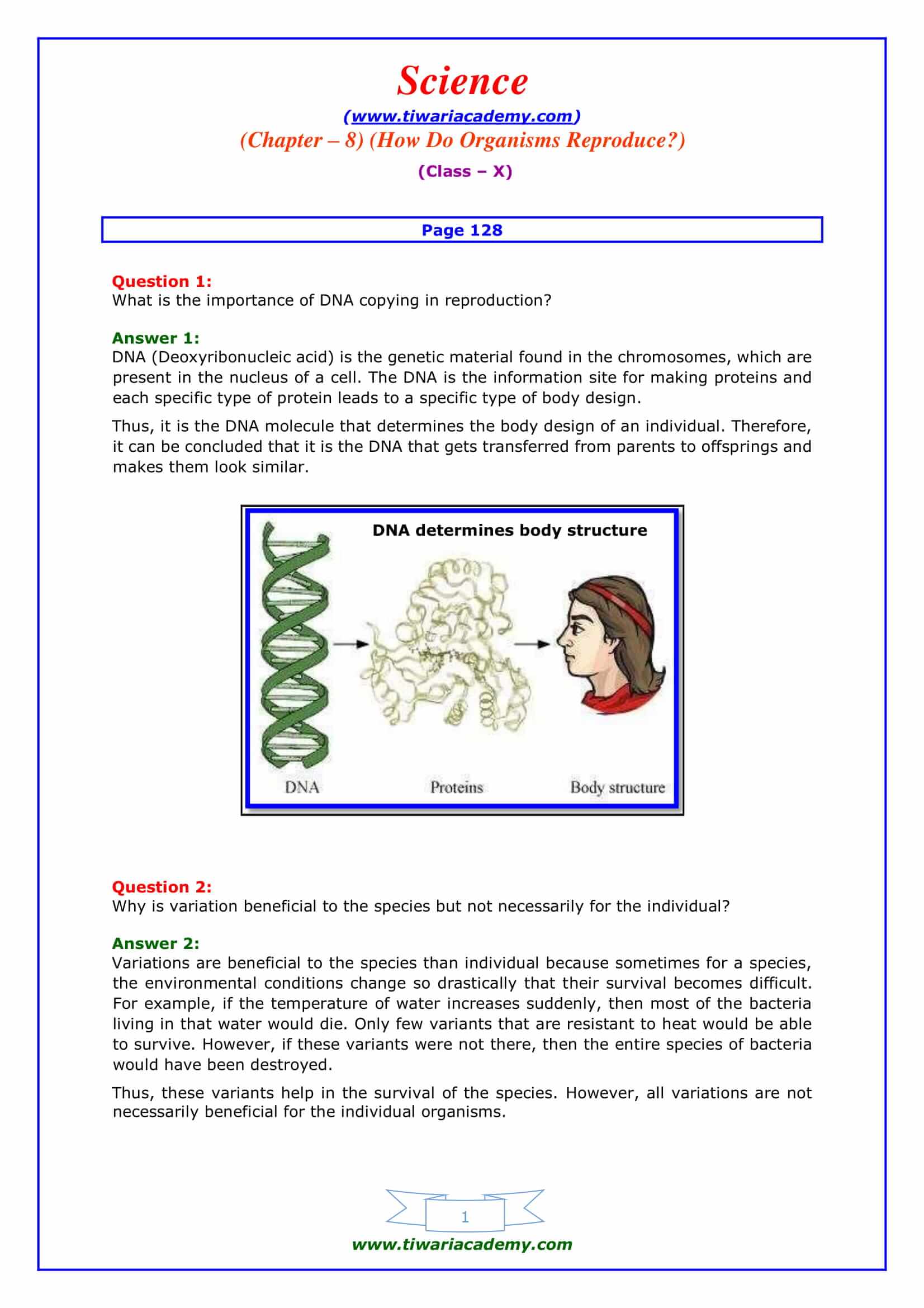 NCERT Solutions for Class 10 Science Chapter 8 How do Organisms Reproduce? Intext question on page 128