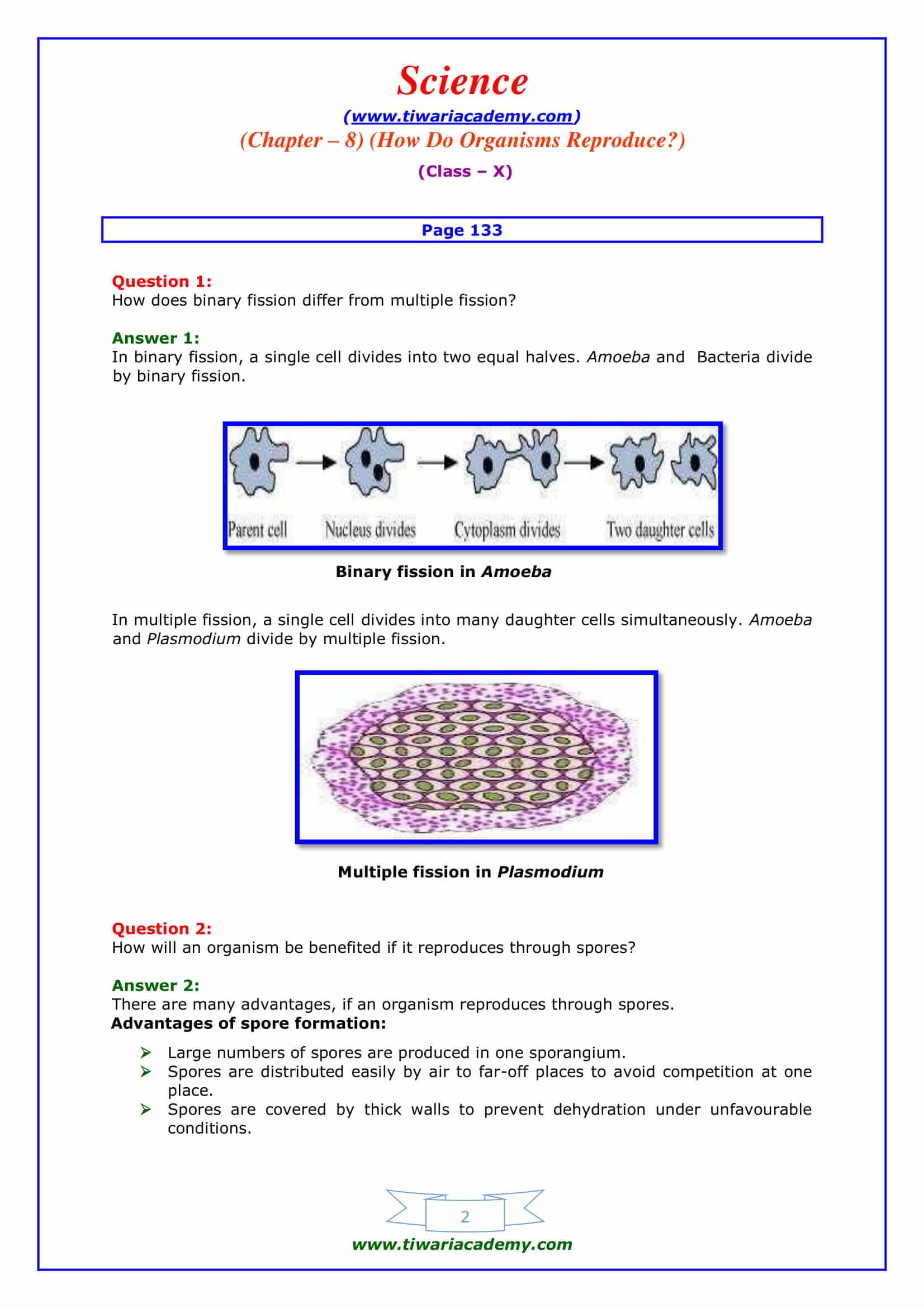 10 Science Chapter 8 Intext question page 133