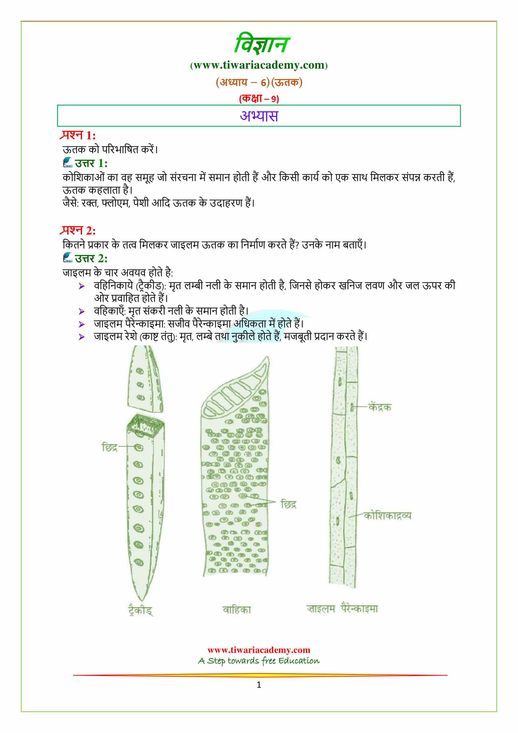 9 Science Chapter 6 all questions in pdf