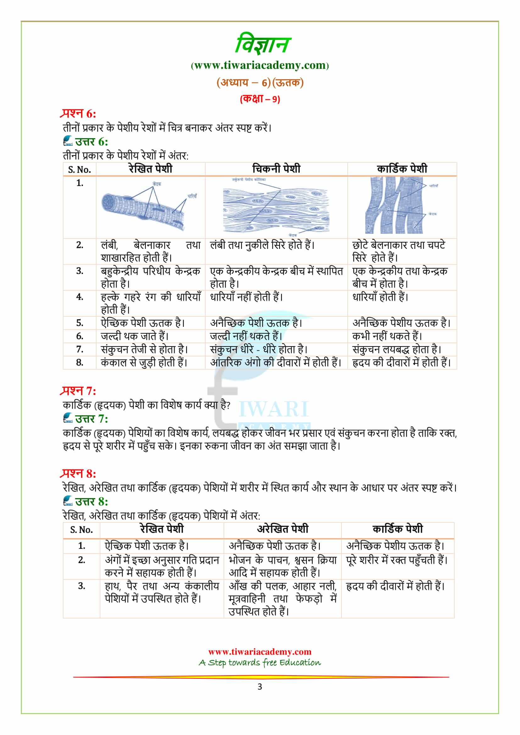 9 Science Chapter 6 all questions ans in pdf