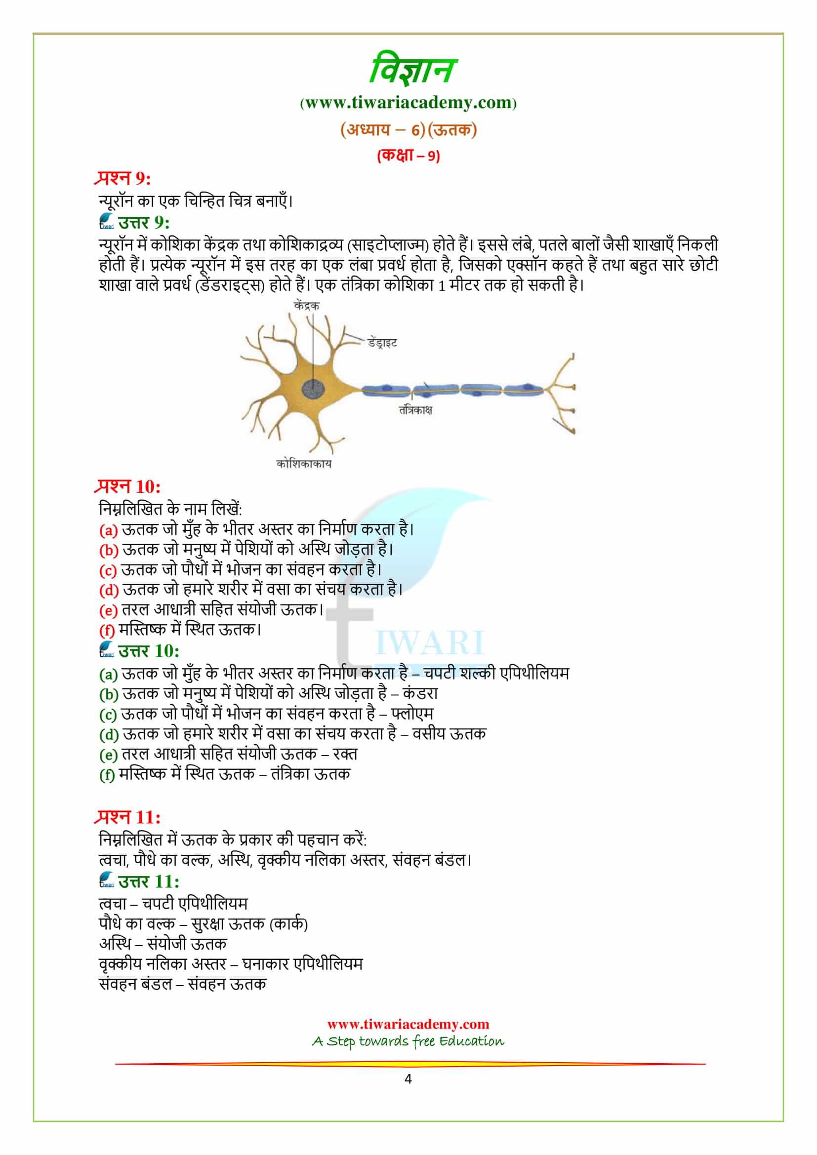 9 Science Chapter 6 all questions free download