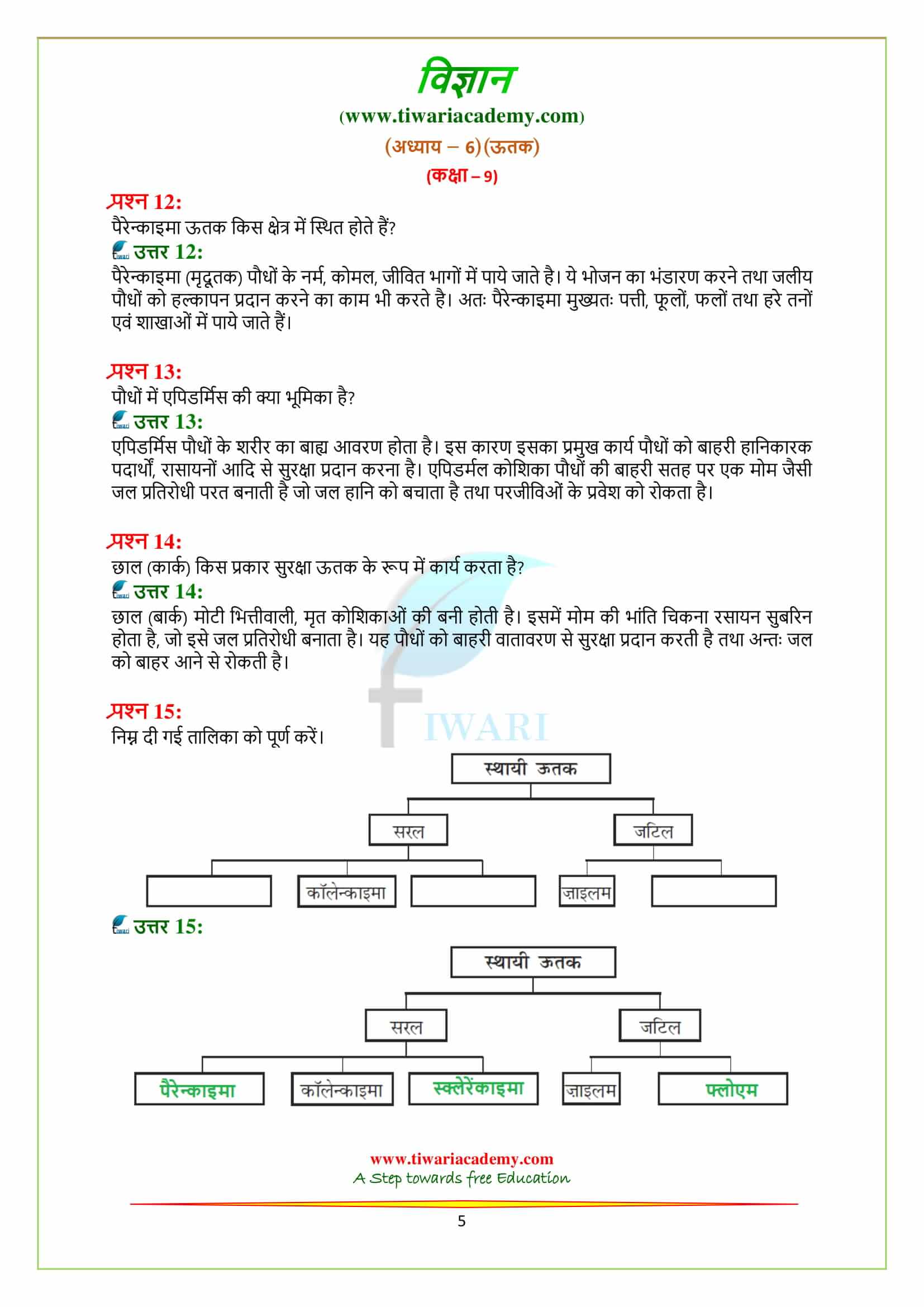 9 Science Chapter 6 all questions free to use