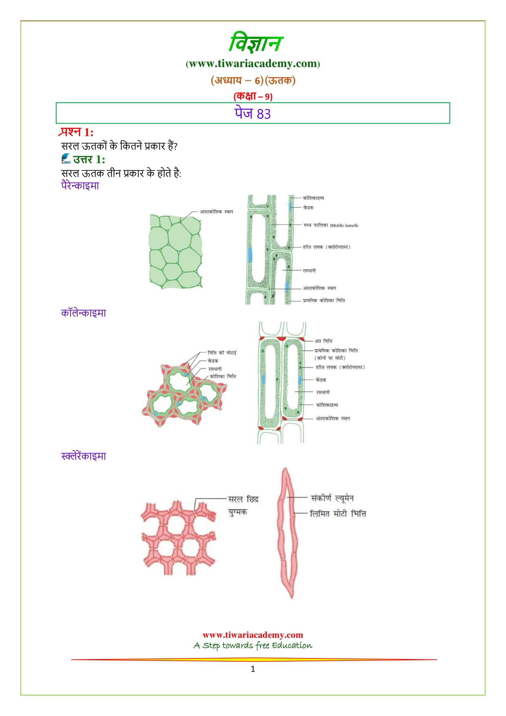 NCERT Solutions for Class 9 Science Chapter 6 Tissues