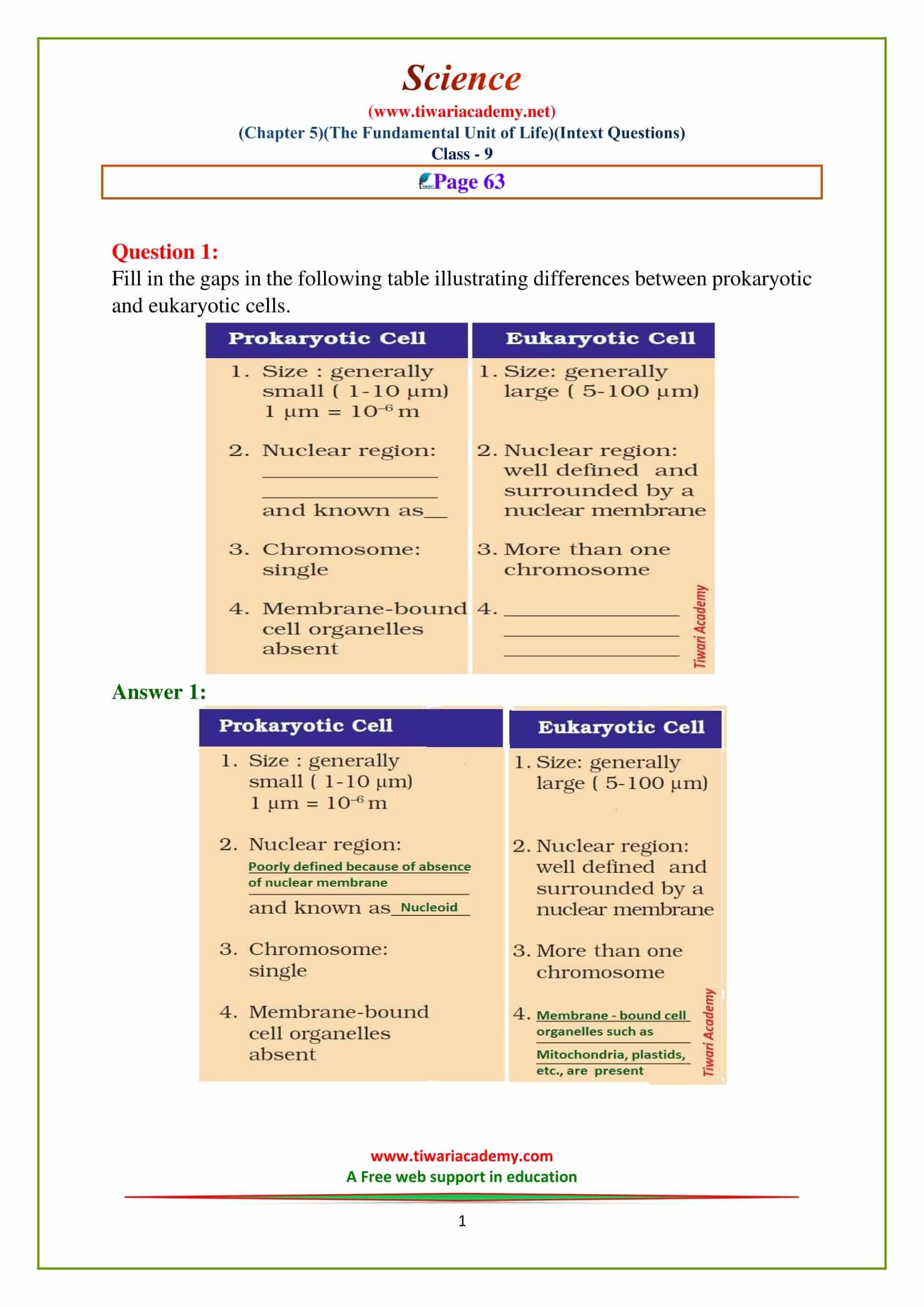 9 Science Chapter 5 The fundamental unit of life Intext questions of page 63