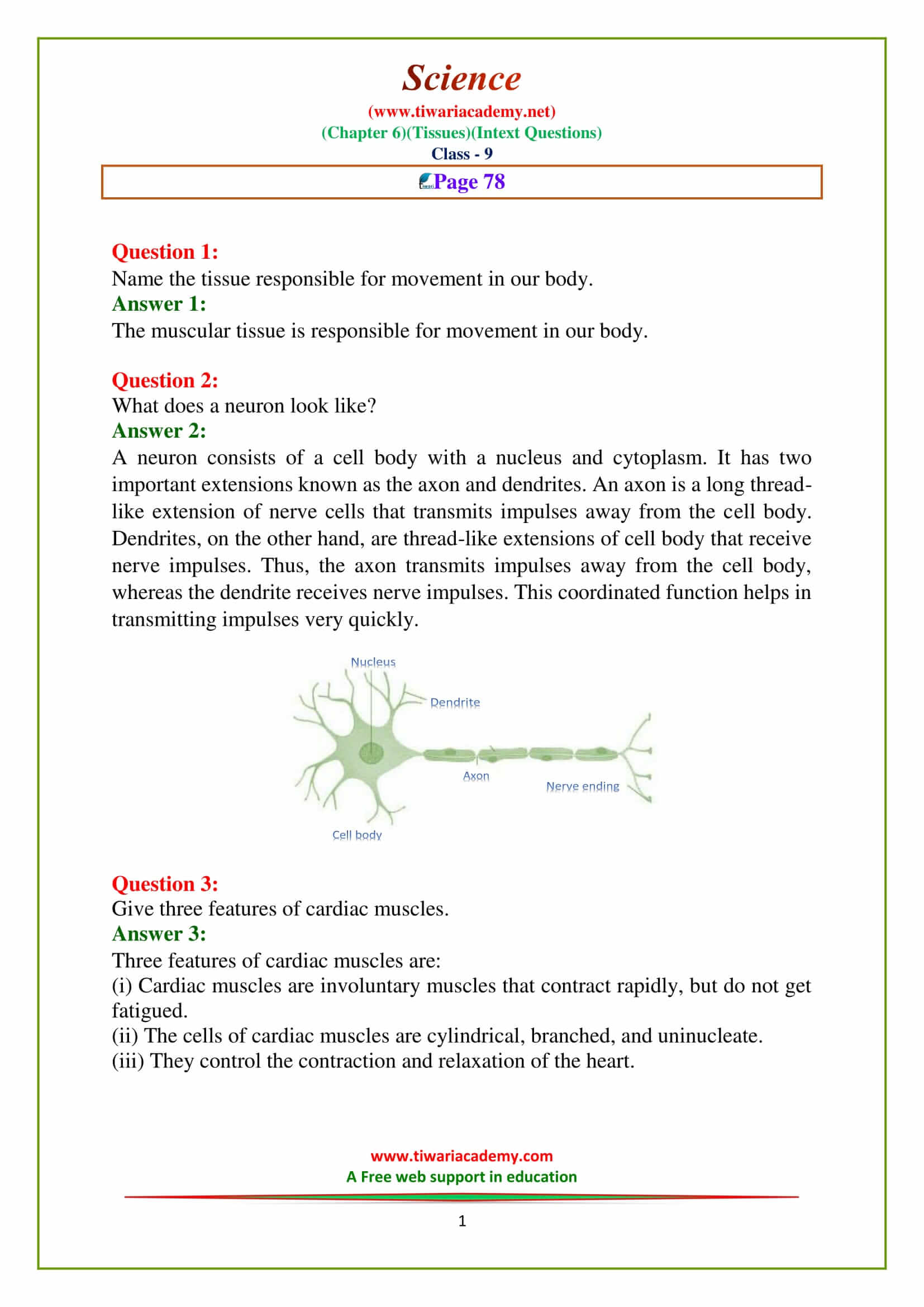 NCERT Solutions for Class 9 Science Chapter 6 Tissues Intext Questions of Page 78