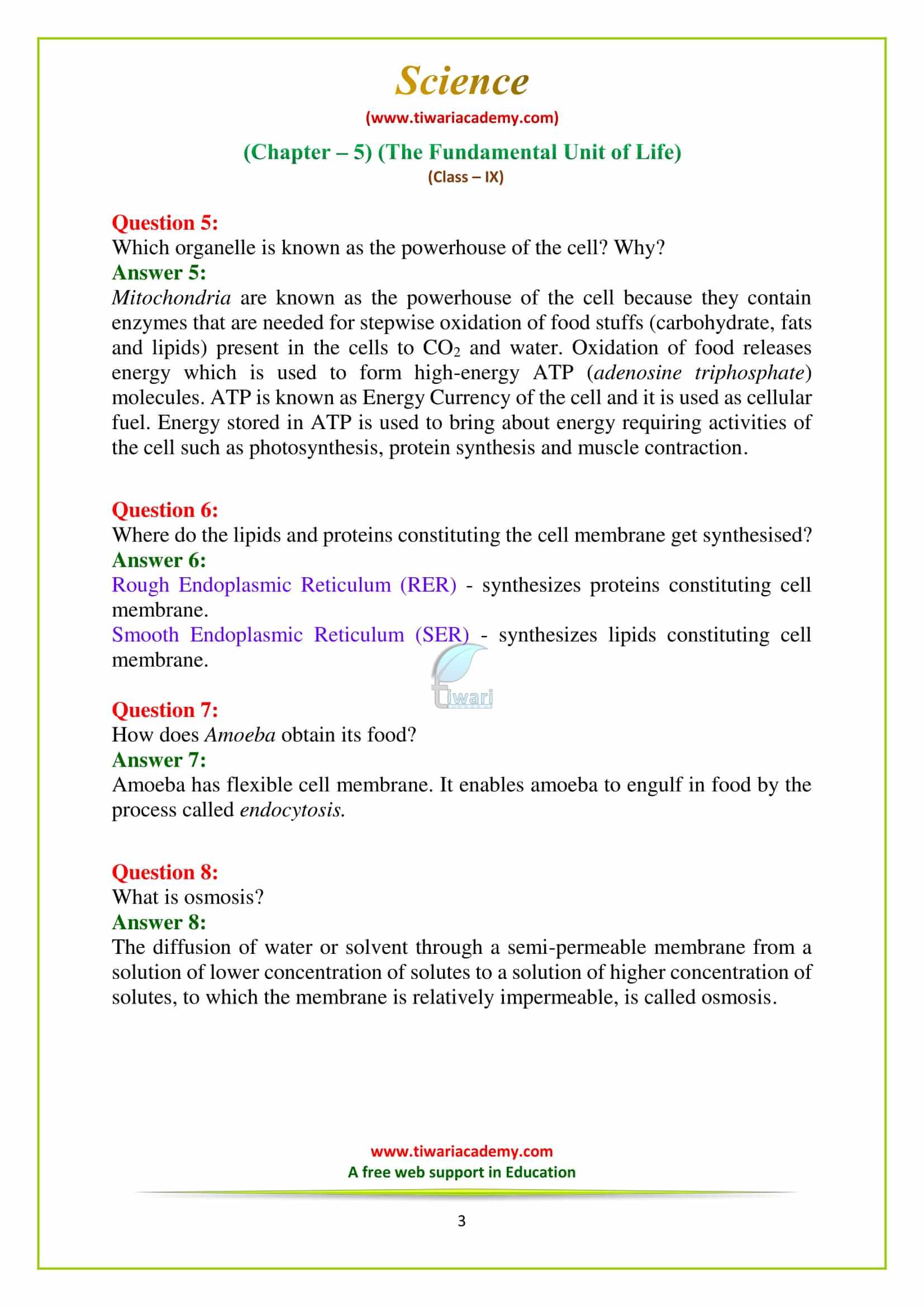 9 Science Chapter 5 The fundamental unit of life Chapter End Exercises in pdf form