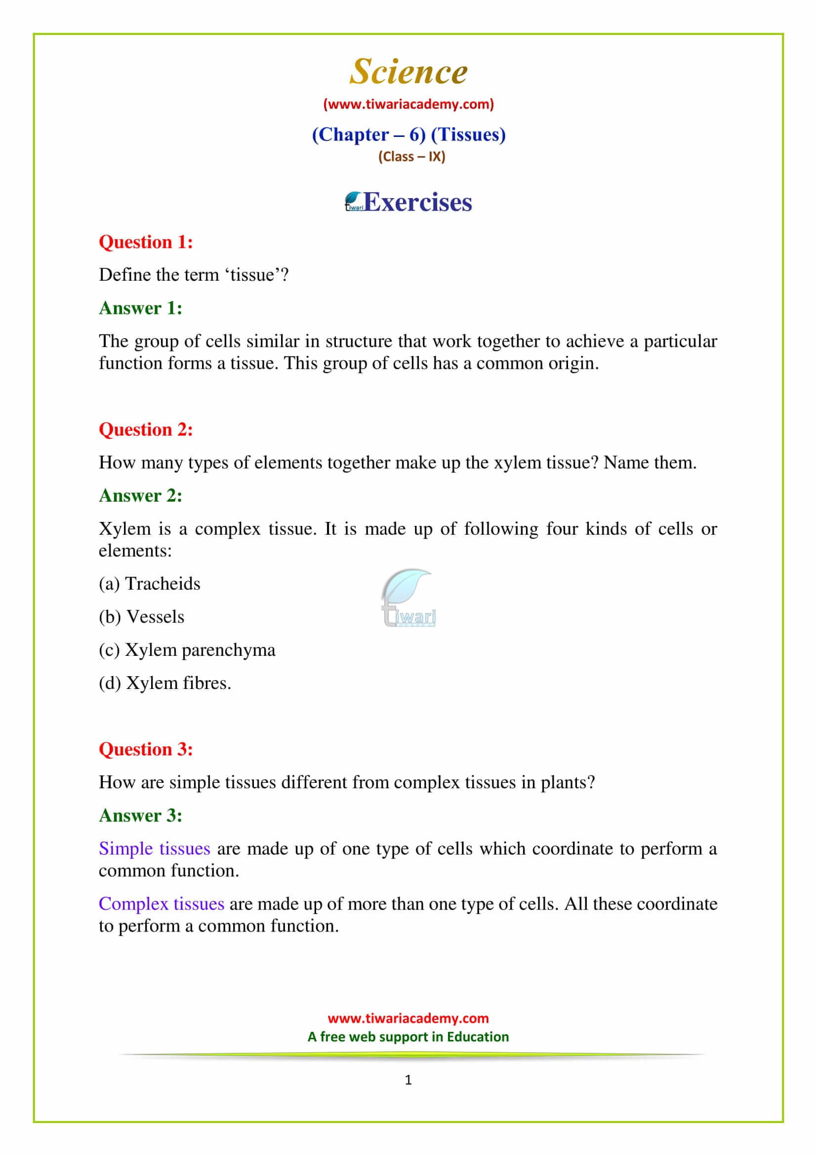 9 Science Chapter 6 Tissues Exercises questions