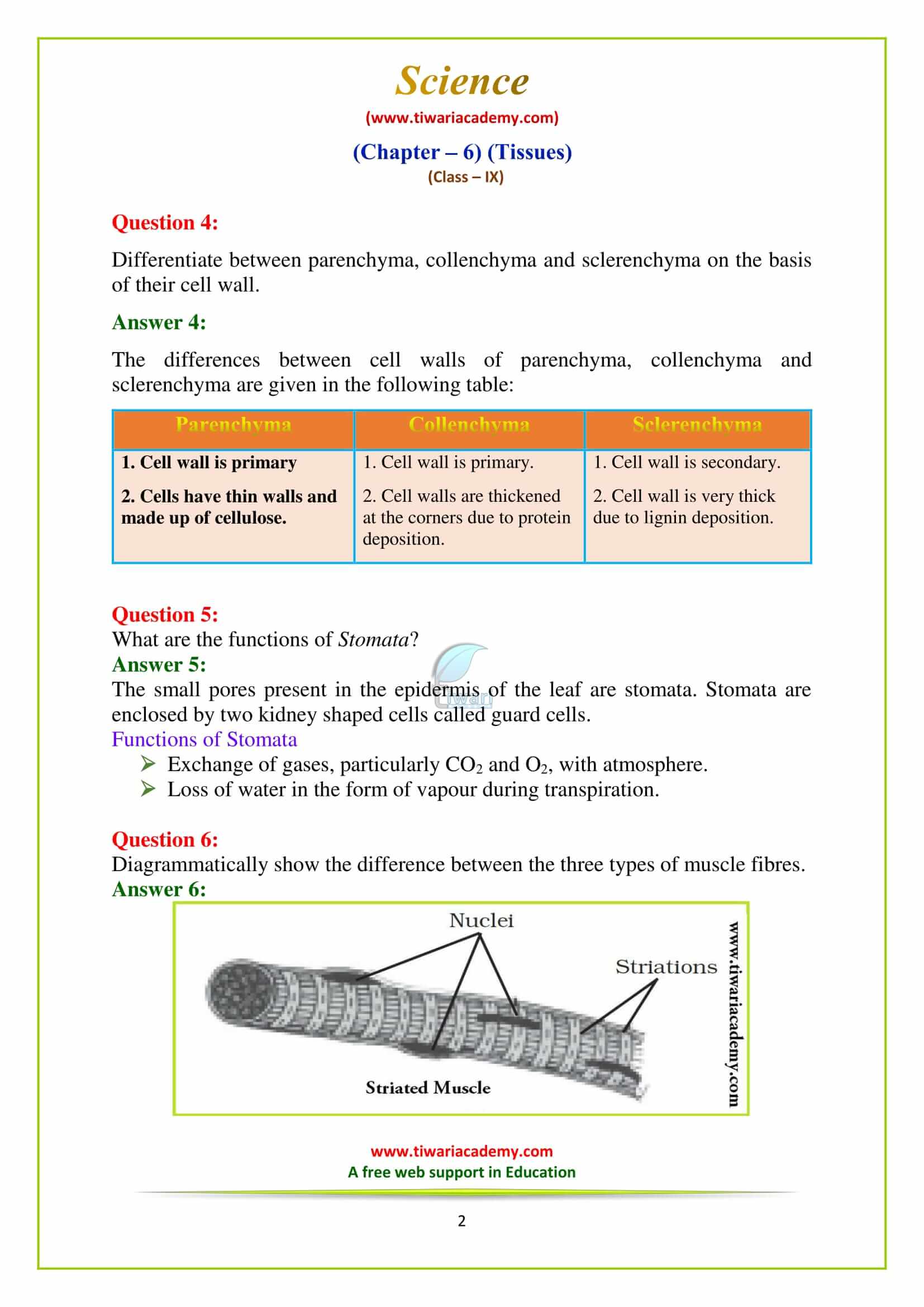 9 Science Chapter 6 Tissues Exercises questions in pdf form