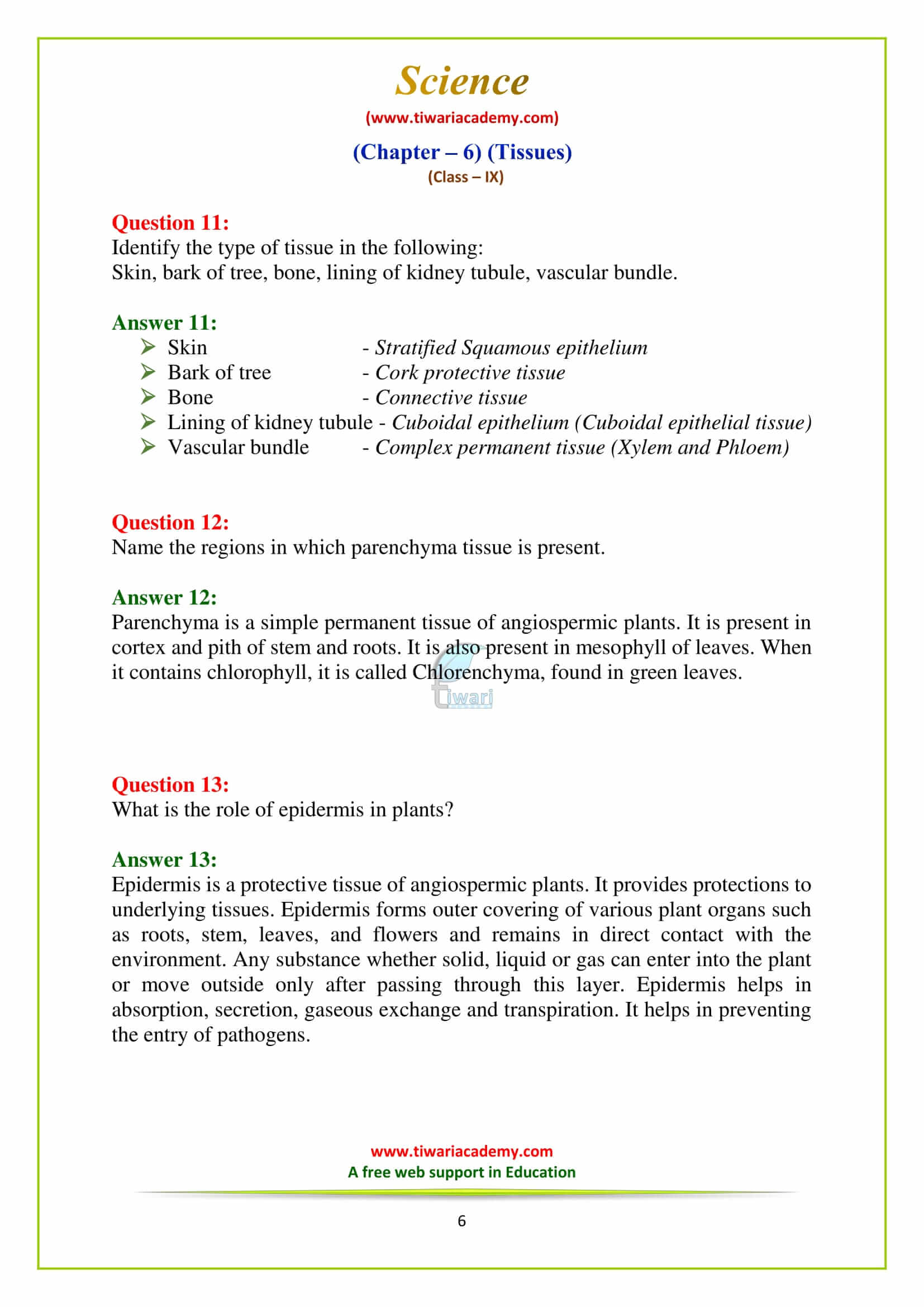 9 Science Chapter 6 Exercises questions study online without downloading