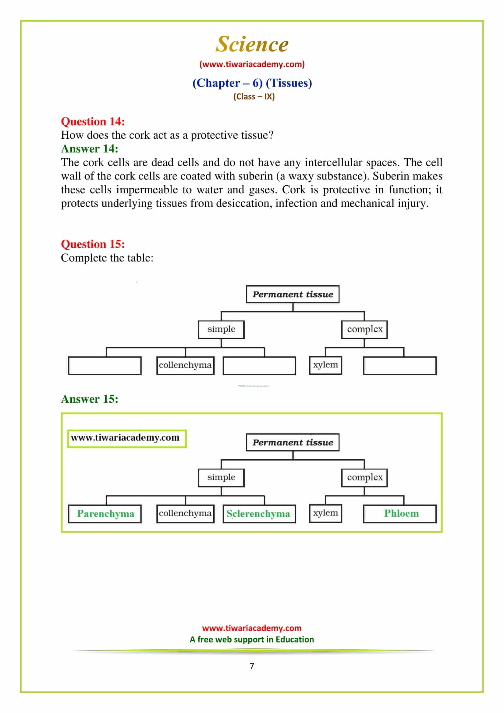 9 Science Chapter 6 Exercises questions download in pdf
