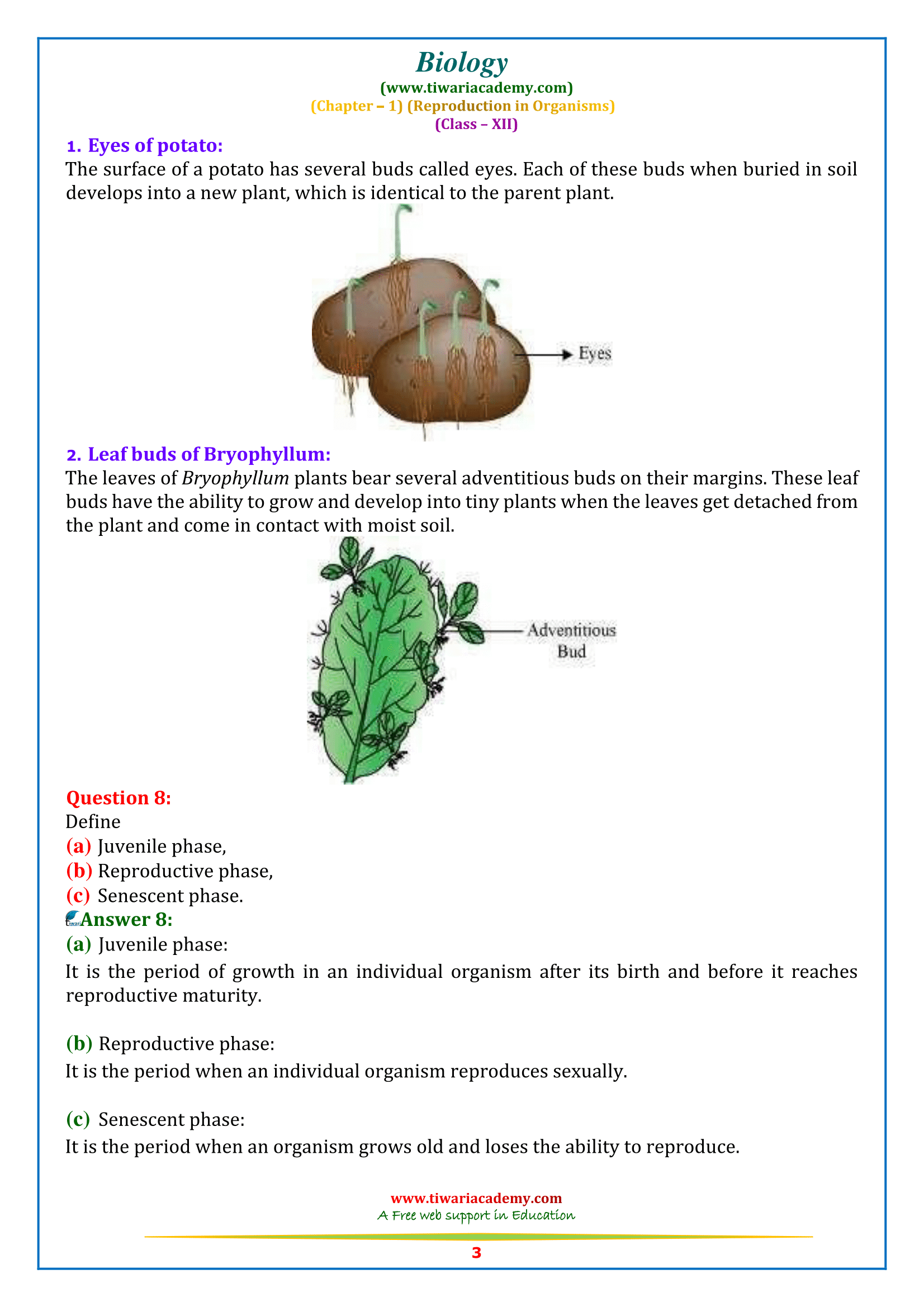12 bio ch. 1