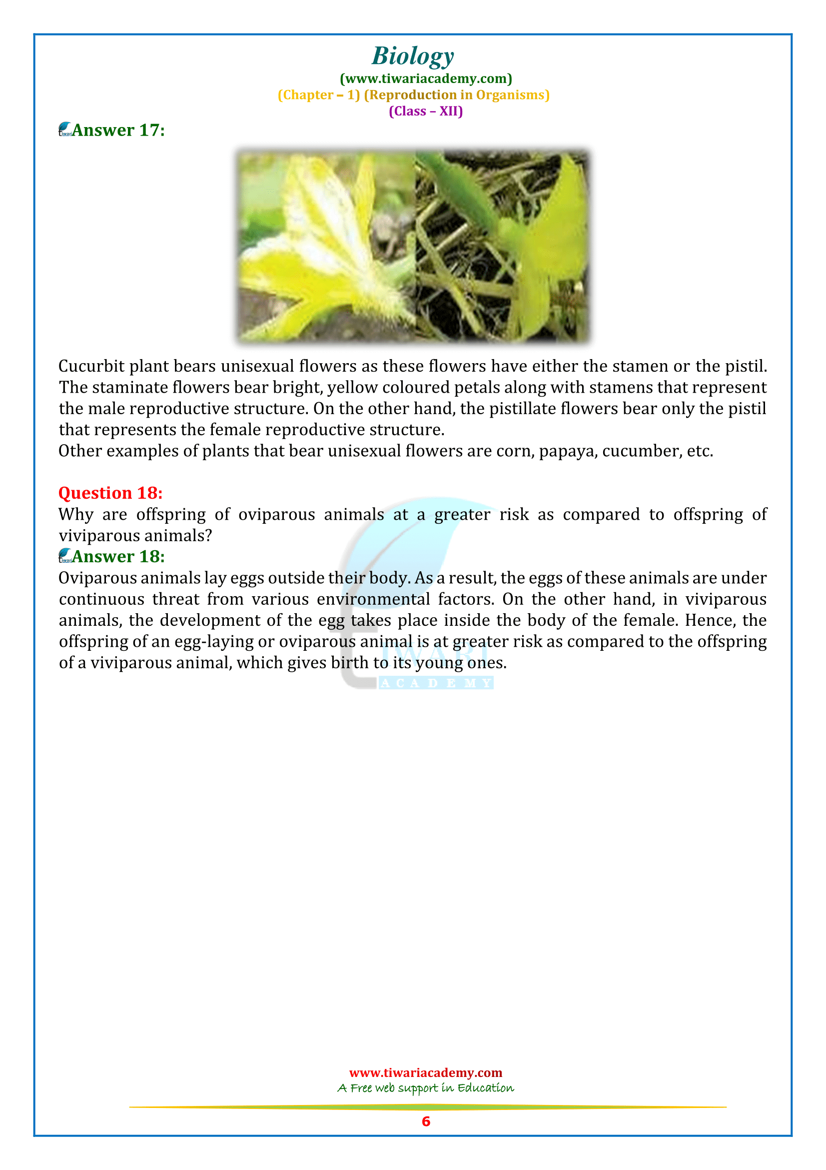 NCERT Solutions for class 12 Biology Chapter 1 Reproduction in Organisms