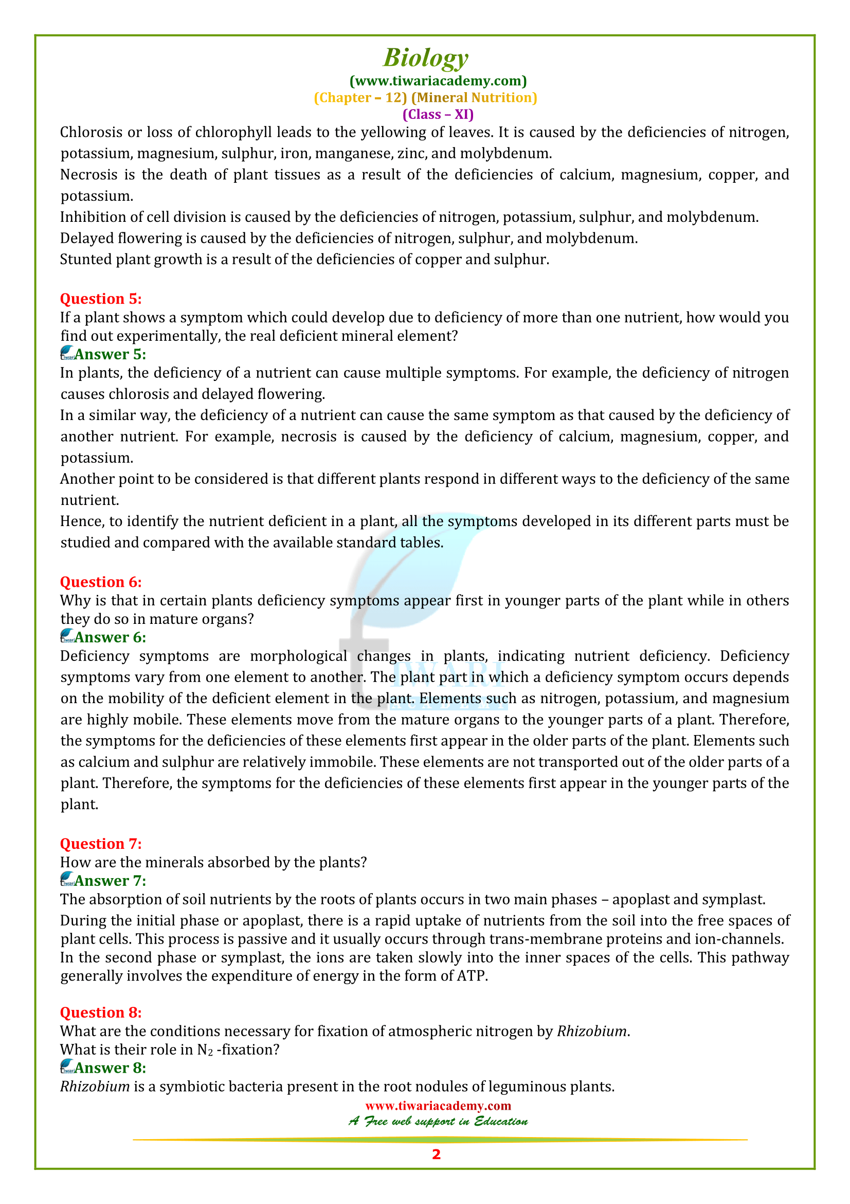 NCERT Solutions for Class 11 Biology Chapter 12 in PDF