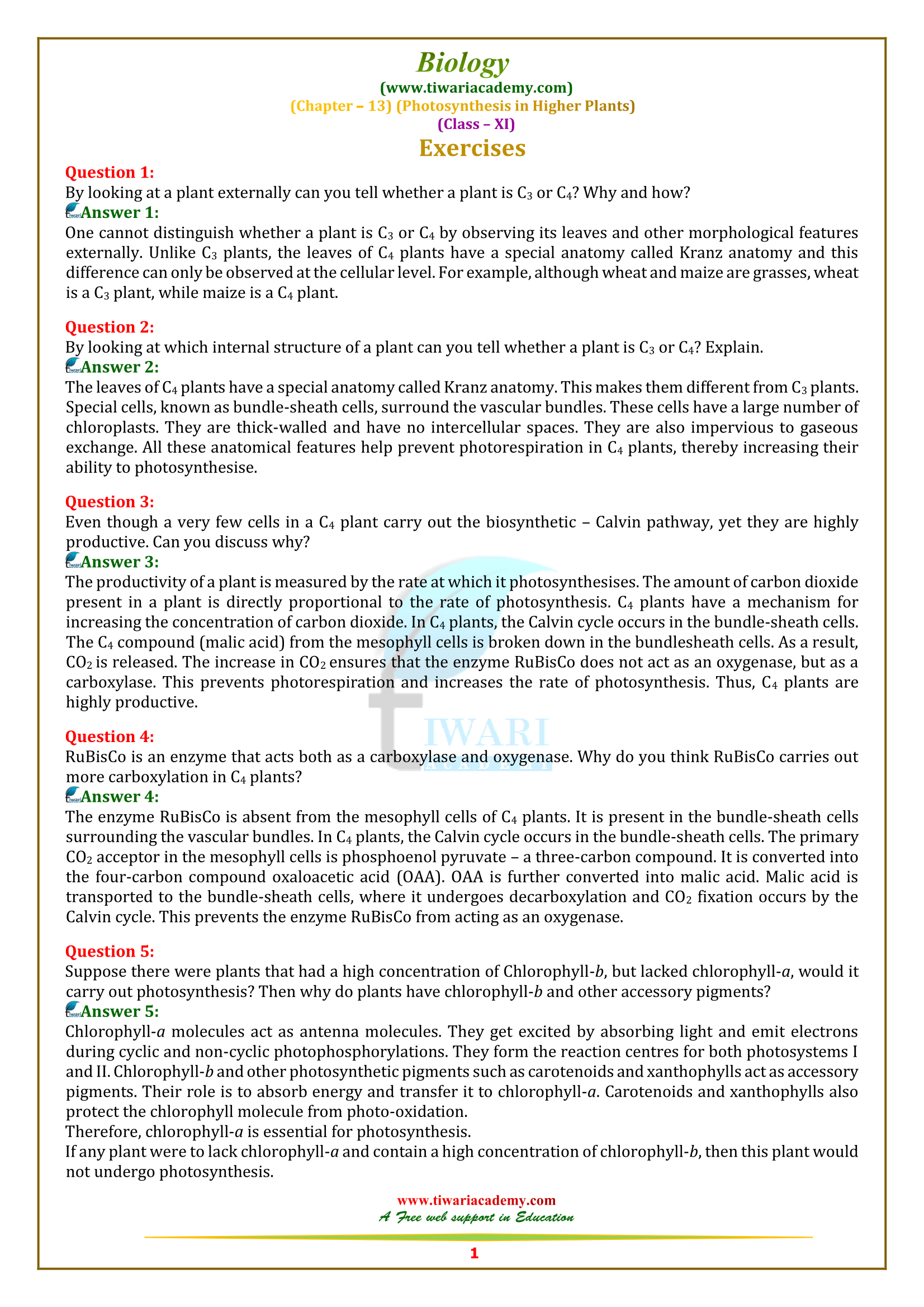 NCERT Solutions for Class 11 Biology Chapter 13 Photosynthesis in Higher Plants