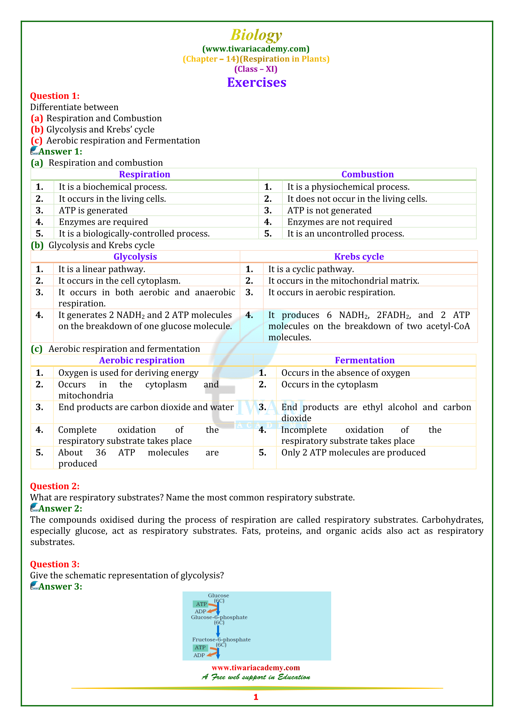 NCERT Solutions for Class 11 Biology Chapter 14 Respiration in Plants NCERT Solutions for Class 11 Biology Chapter 14 Respiration in Plants