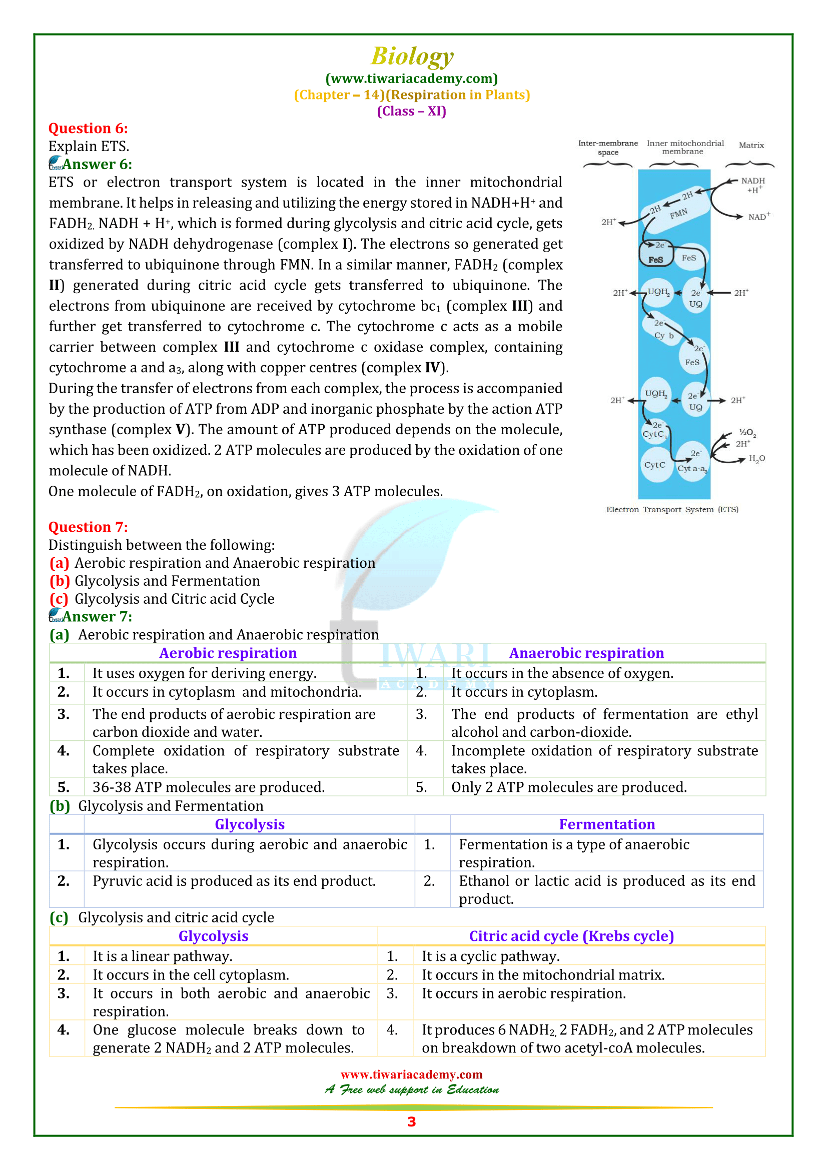 NCERT Solutions for Class 11 Biology Chapter 14 in English medium