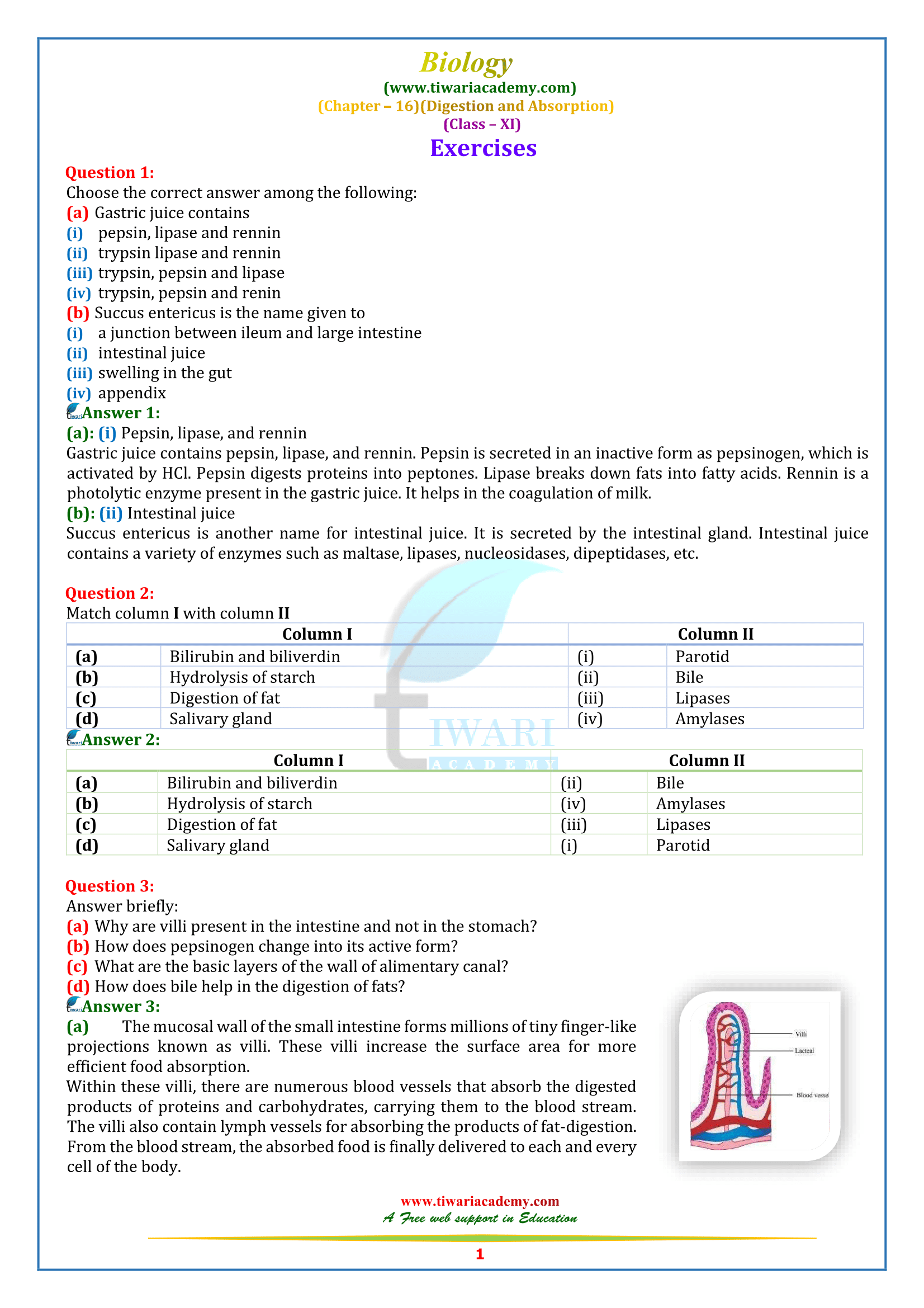 NCERT Solutions for Class 11 Biology Chapter 16 Digestion and Absorption