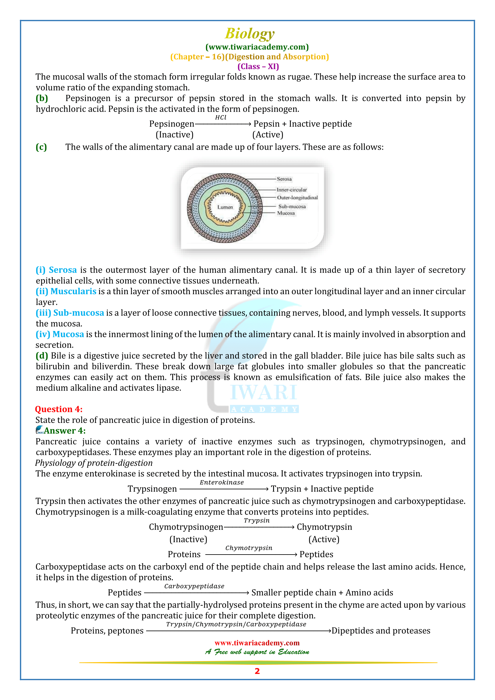 NCERT Solutions for Class 11 Biology Chapter 16 in PDF