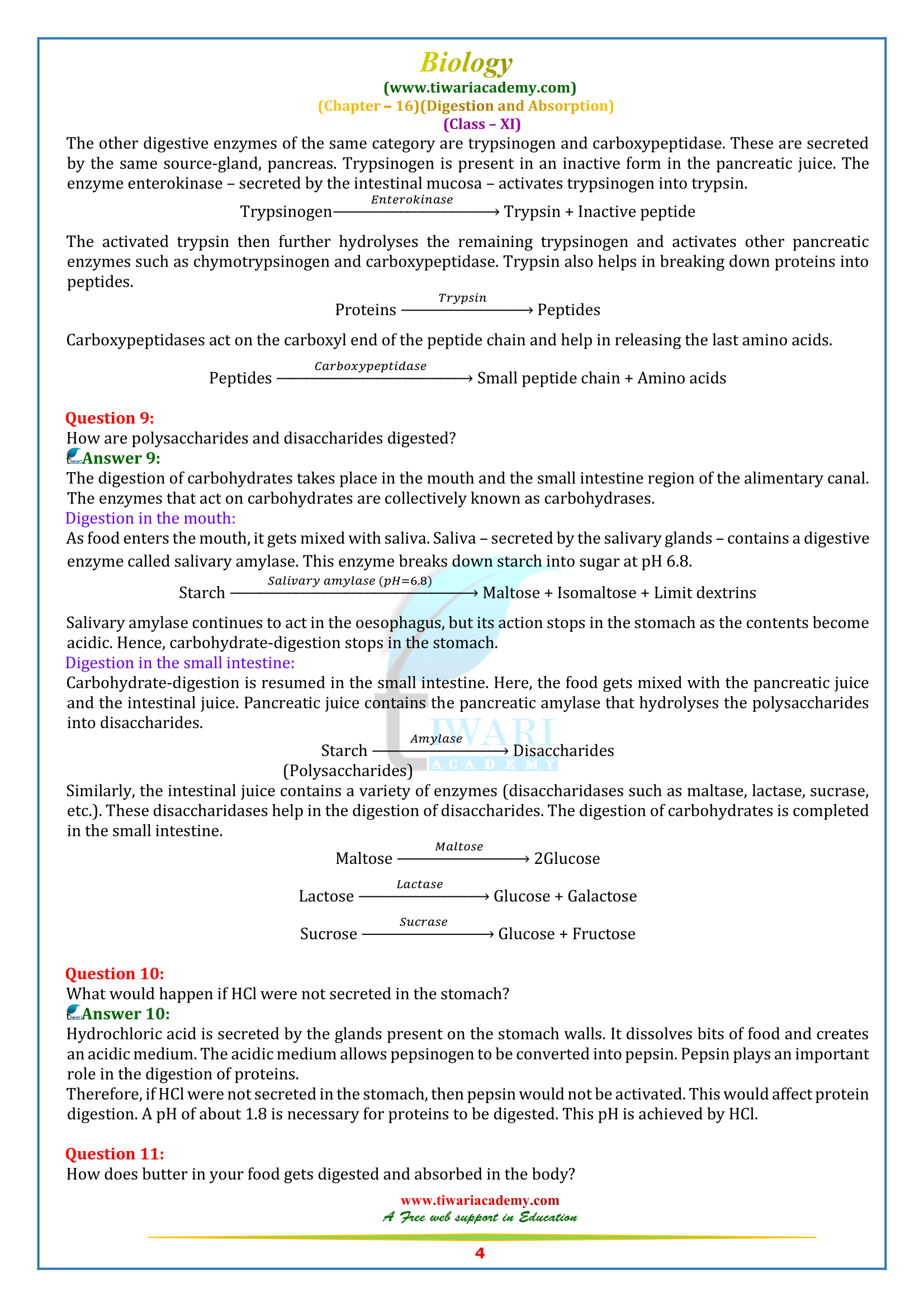NCERT Solutions for Class 11 Biology Chapter 16 free download