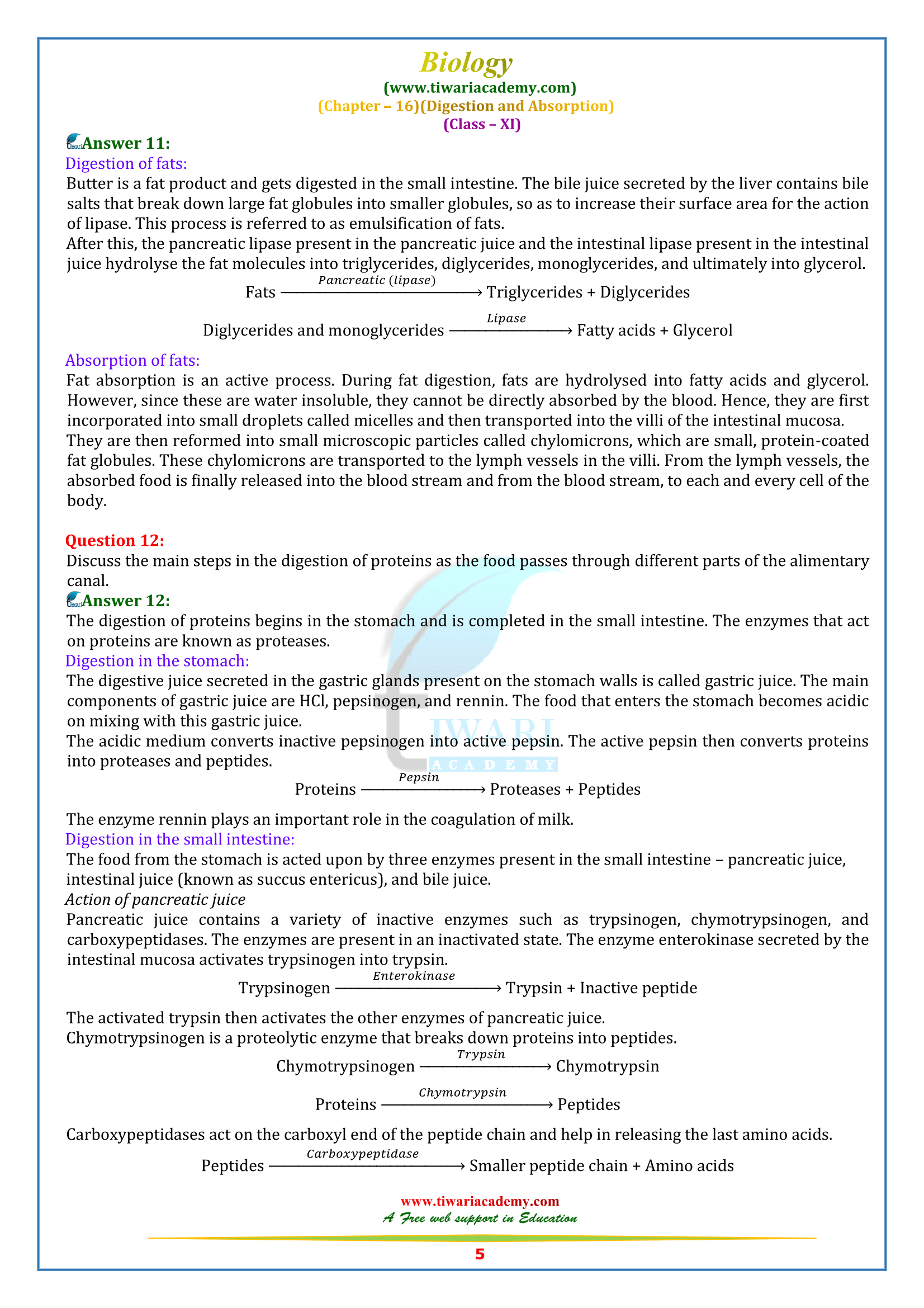 11 bio ch. 16