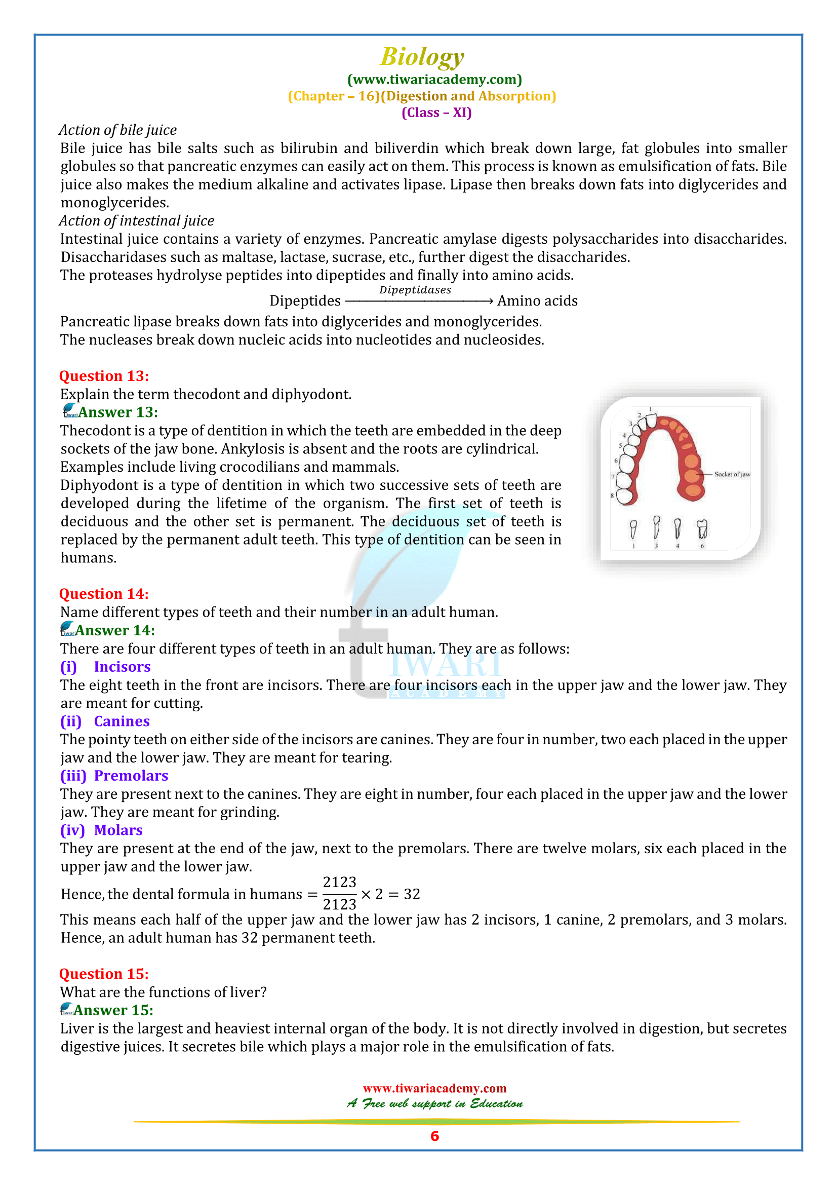 chapter 16 for class 11 Biology solutions