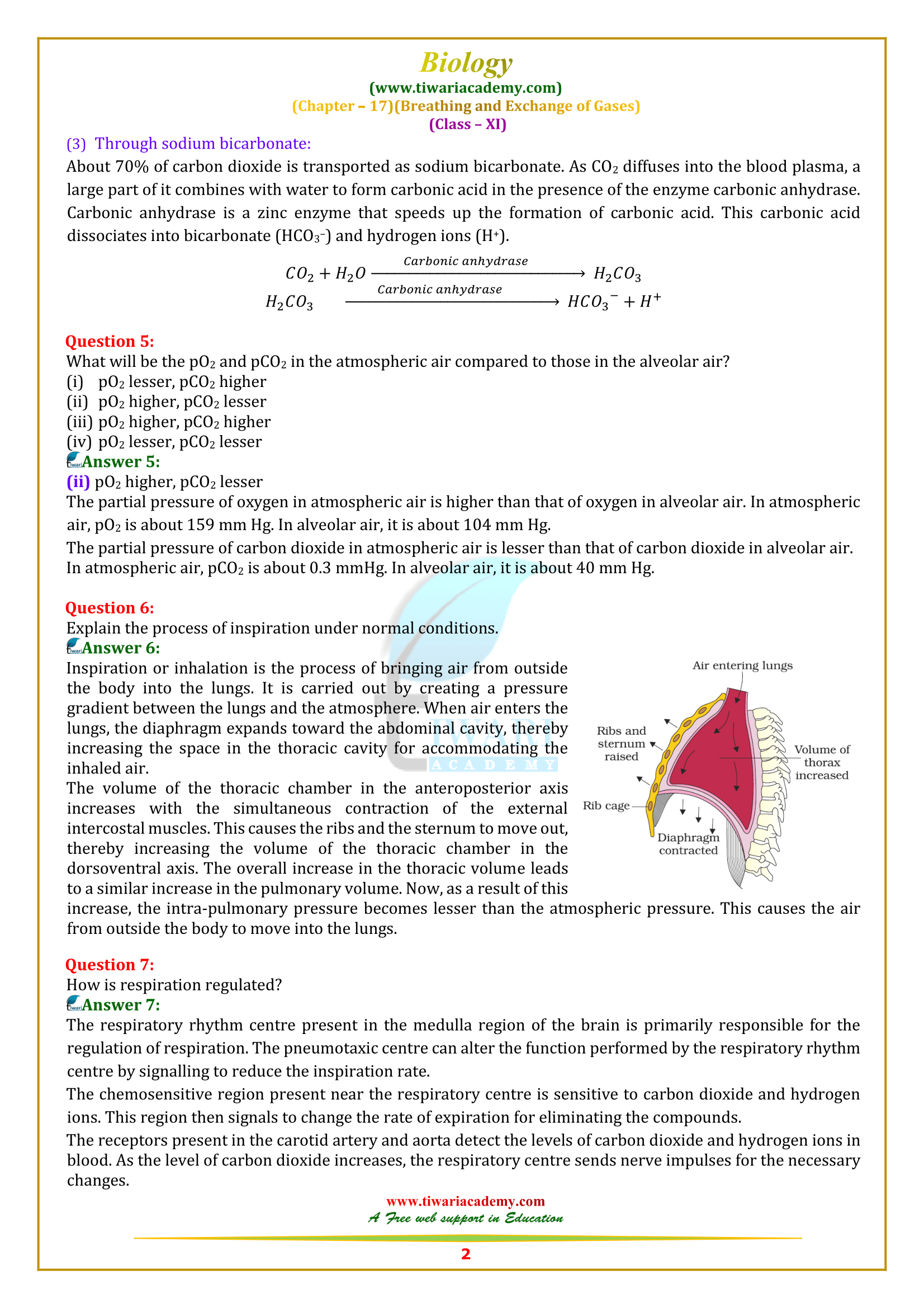 NCERT Solutions for Class 11 Biology Chapter 17 in PDF